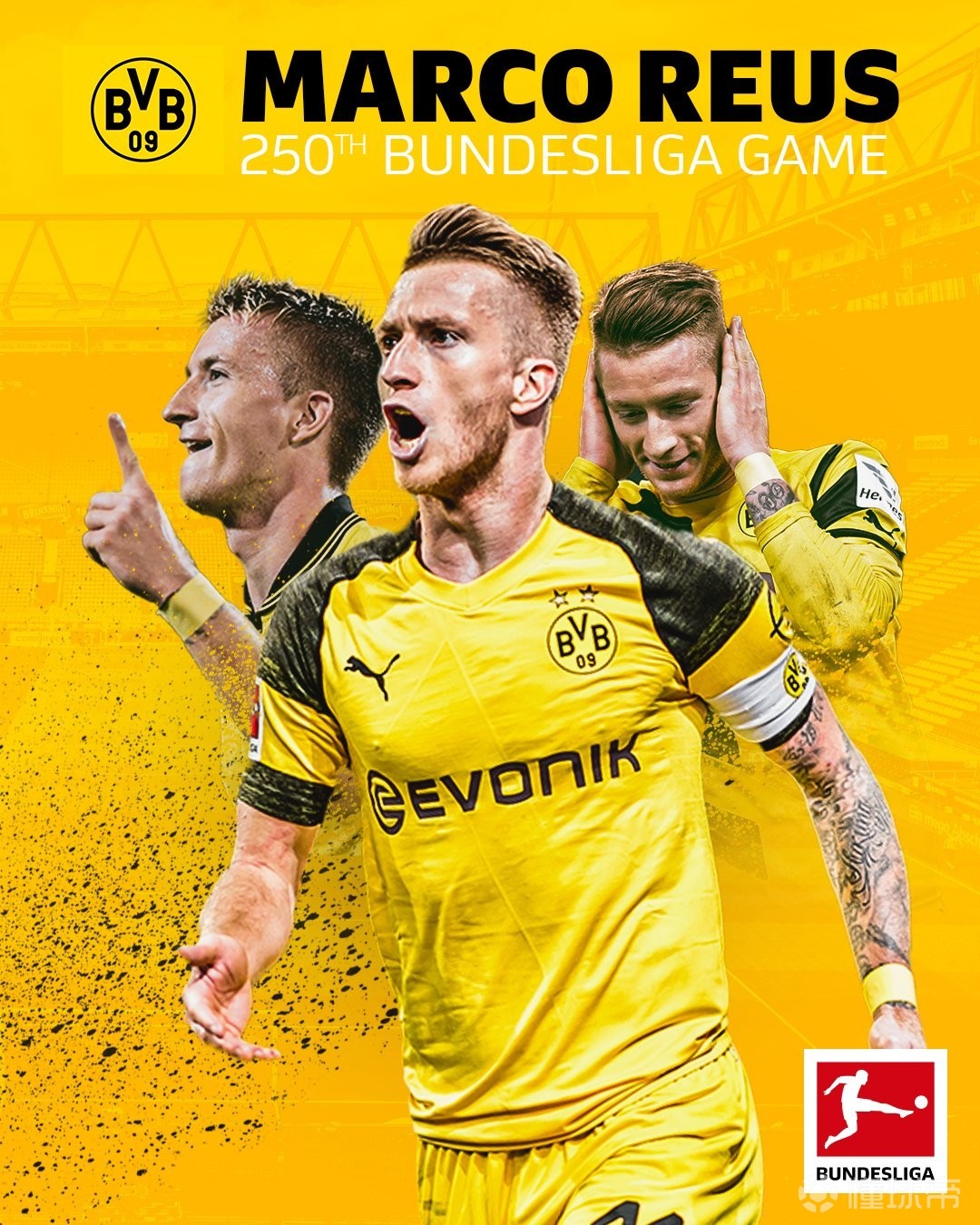 重型链板输送机设计参数与价位